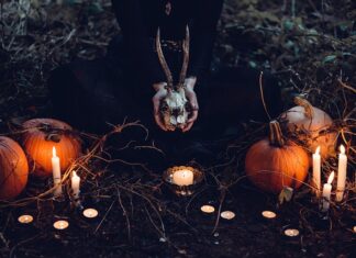 Jak zrobić dynie z papieru toaletowego?