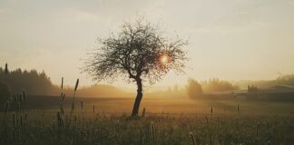 Jak długo goi się rana po gwoździu?